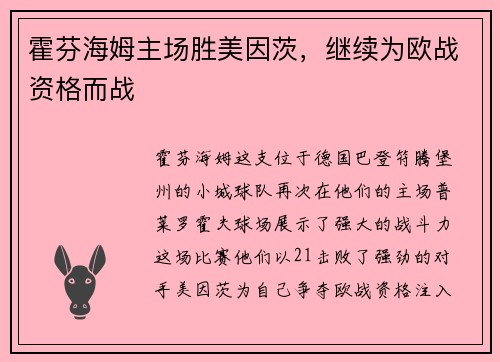 霍芬海姆主场胜美因茨，继续为欧战资格而战
